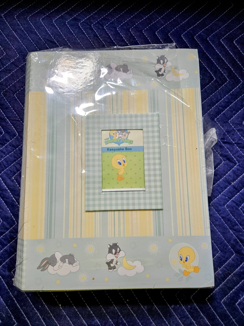 Baby Looney Tunes Keepsake Box - Blue and Yellow Nursery Storage NEW